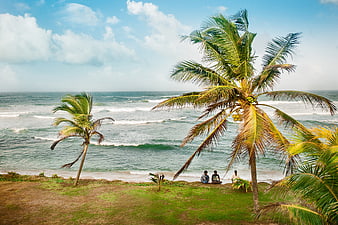 Tropical Beach Landscape With Palm Trees And Ocean Waves