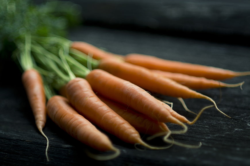 Fresh organic carrots on dark rustic wooden background