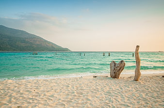 Serene tropical beach with turquoise water, sand, and driftwood logs