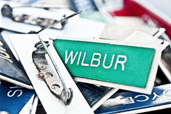 Close-up of vintage name plates with Wilbur label and safety pin
