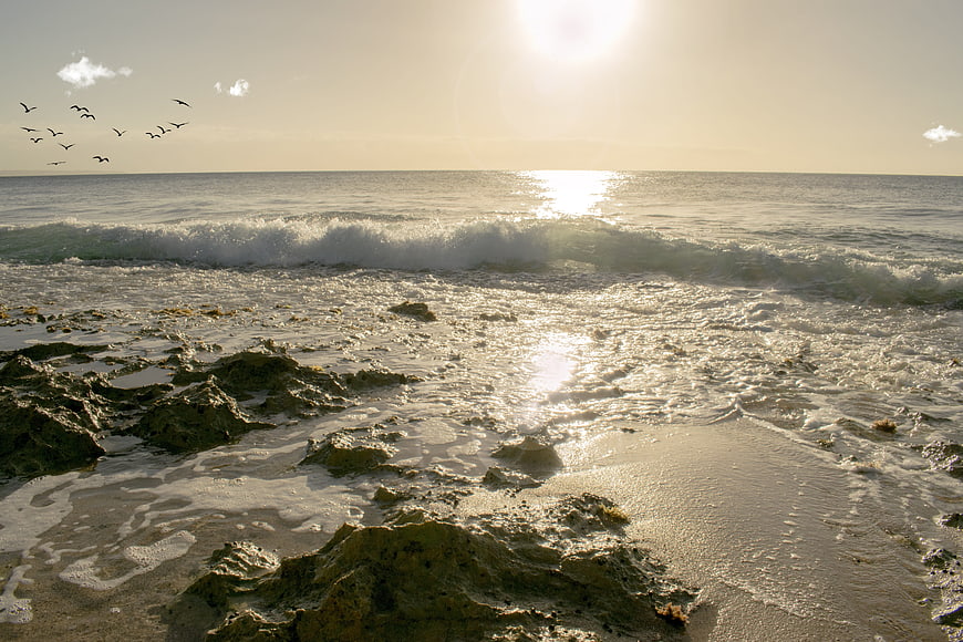 Sunlit Rocky Beach with Birds Flying Over Ocean Waves