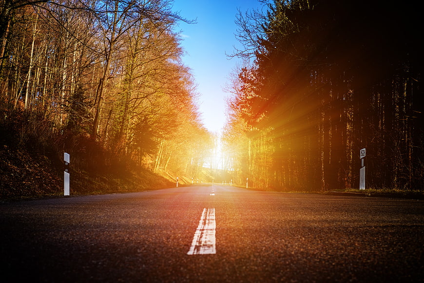 Sunlit Forest Road With Golden Sunbeams And Autumn Trees