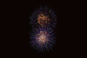 Blue and Gold Fireworks Exploding in Night Sky