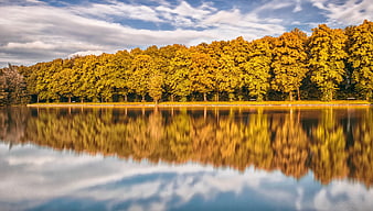 Golden Autumn Trees Reflected in Calm Lake Water