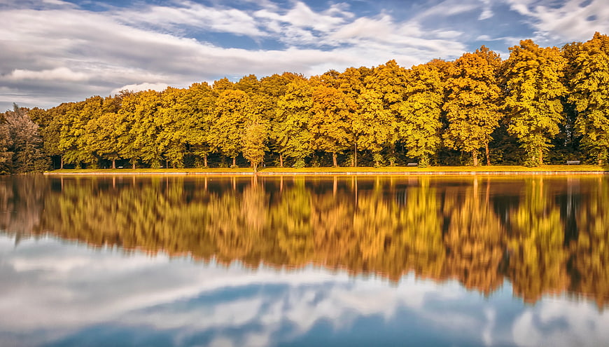 Golden Autumn Trees Reflected in Calm Lake Water