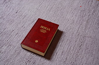 Red leather Bible on textured gray background