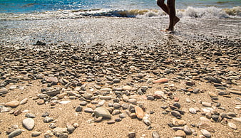 Low angle view of pebbles on sandy beach with walking legs