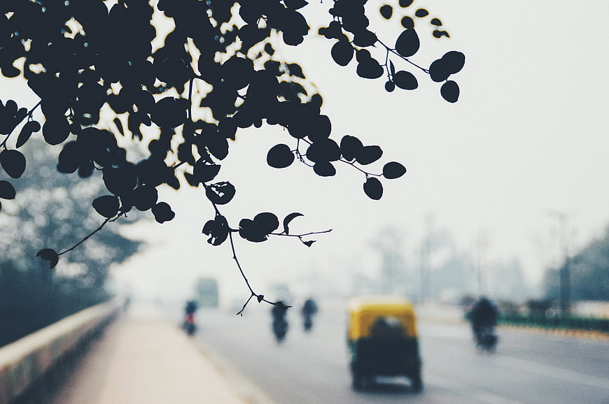 Silhouette of tree leaves framing blurred city traffic