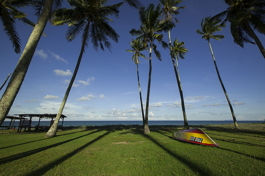 Tropical beach scene with palm trees, grass, and a small boat