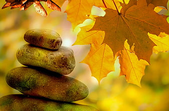 Stacked Zen Stones With Autumn Maple Leaves And Sycamore Seeds