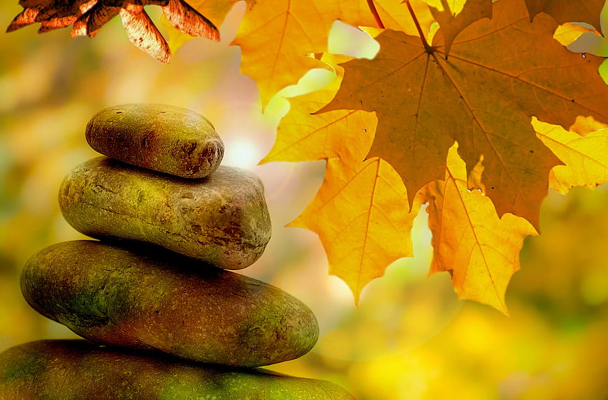 Stacked Zen Stones With Autumn Maple Leaves And Sycamore Seeds