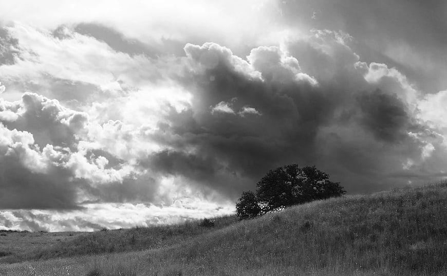 Dramatic Black and White Landscape with Solitary Tree