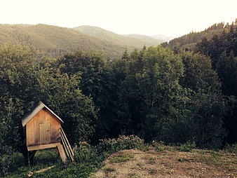 Rustic wooden shed in mountain forest landscape