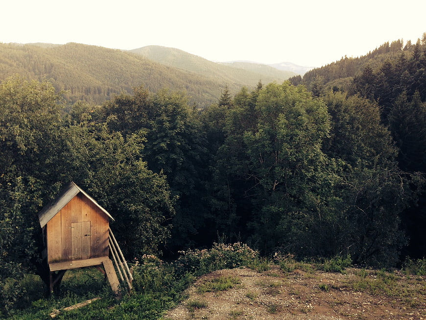 Rustic wooden shed in mountain forest landscape