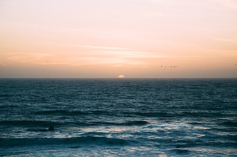 Serene Ocean Sunset with Birds Flying Over Horizon