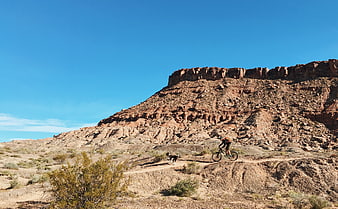 Mountain biker and dog riding on desert trail
