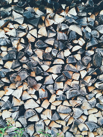 Stacked Firewood Logs Texture Background