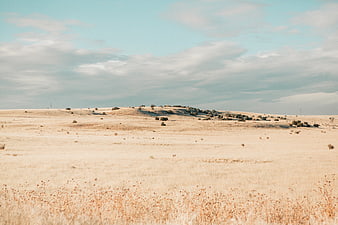 Vast Dry Highland Landscape with Golden Grass and Cloudy Sky