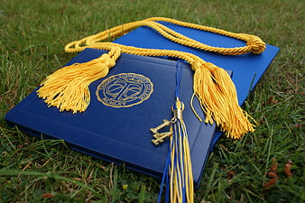 Blue Diploma and Graduation Stole on Grass