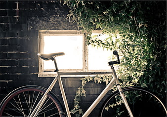 Vintage white bicycle against brick wall with ivy