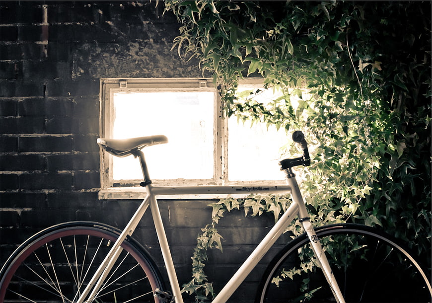 Vintage white bicycle against brick wall with ivy