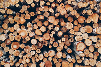 Close-up texture of stacked firewood logs and timber