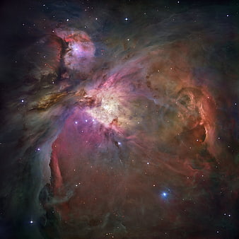 Orion Nebula Space Photography