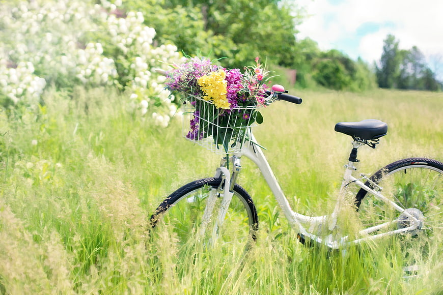 White bicycle with colorful flowers in a sunny meadow