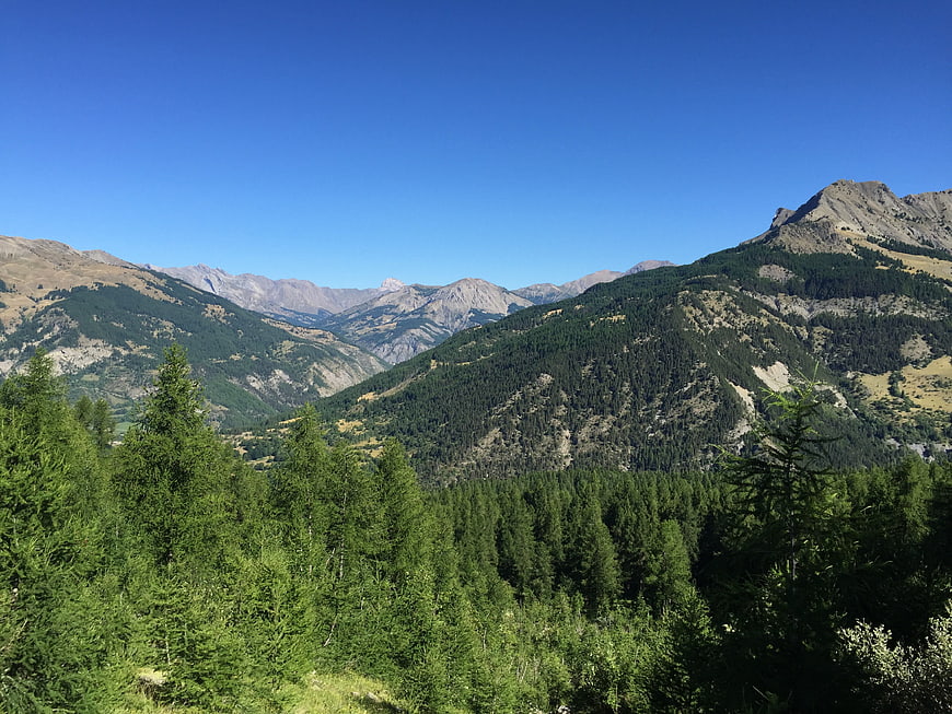 Scenic Alpine Mountain Valley with Pine Forest and Blue Sky