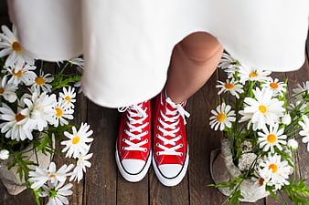 Red sneakers and white daisies on wooden floor
