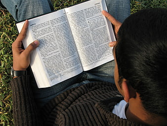 Man reading the Bible outdoors on green grass