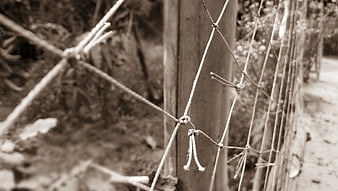 Close-up of rustic rope net tied to wooden post
