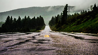 Wet asphalt road leading into foggy forest mountains
