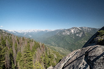 Scenic Mountain Landscape with Pine Forest and Rocky Outcrop
