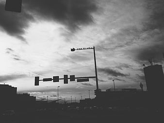 Silhouetted Birds on Streetlight Against Dramatic Cloudy Sky