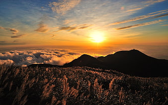 Golden sunset over mountain peaks with sea of clouds and tall grass