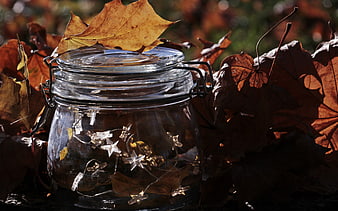 Glass jar with star fairy lights nestled in autumn leaves