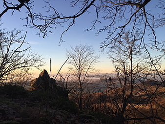 Winter sunrise over Rhön mountains through bare branches