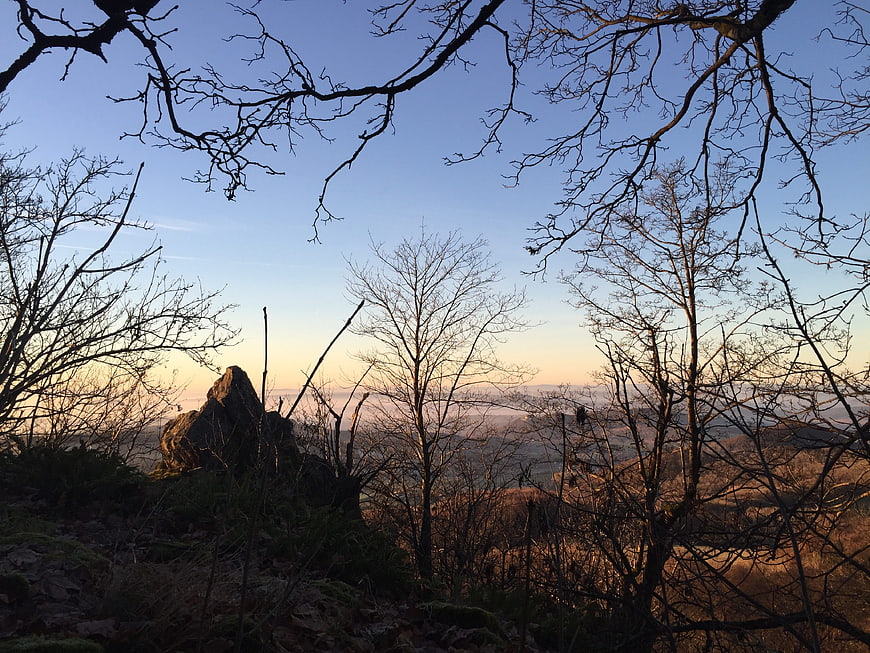 Winter sunrise over Rhön mountains through bare branches