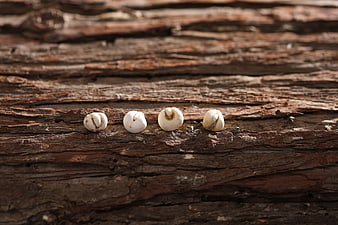 Four white pearl-like objects on textured weathered wood surface