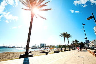 Sunny Mediterranean Promenade with Palm Trees and Beach