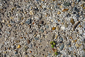 Top view of textured concrete surface with pebbles and small plant
