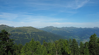 Panoramic Alpine Mountain Landscape with Pine Forest