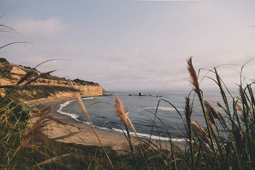 Coastal landscape with beach grass and ocean waves