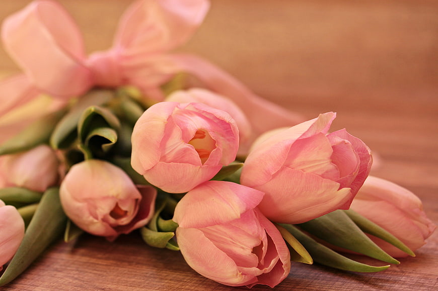 Bouquet of Soft Pink Tulips with Ribbon on Wooden Table