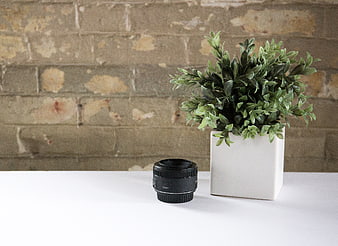 Camera lens and potted plant on white desk against brick wall