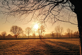 Golden Sunrise Over Frosty Meadow With Bare Trees