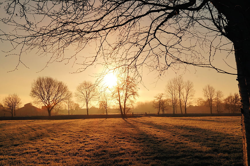 Golden Sunrise Over Frosty Meadow With Bare Trees