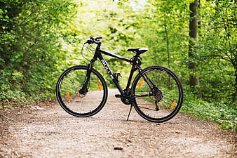 Black mountain bike parked on a forest path
