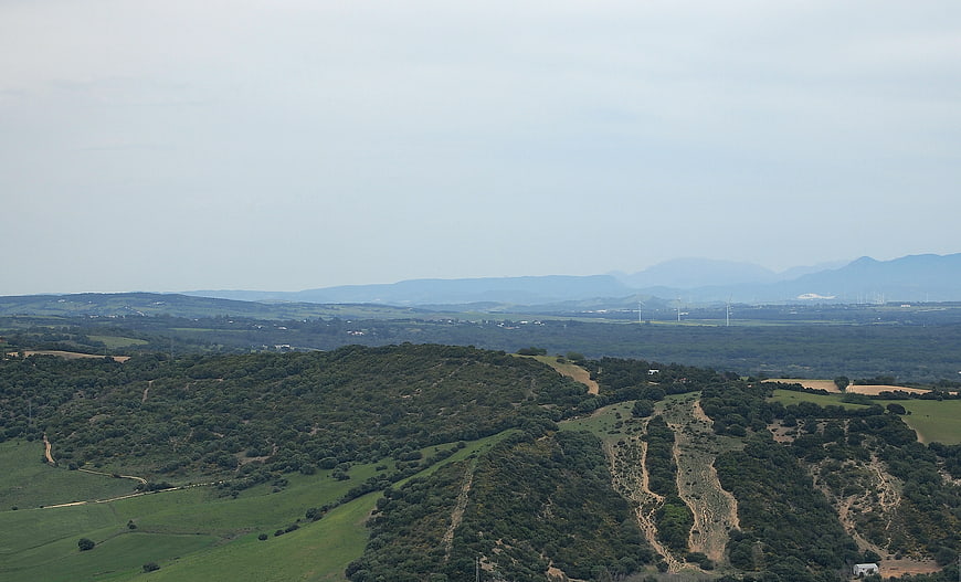 Aerial View of Rolling Green Hills and Forested Landscape